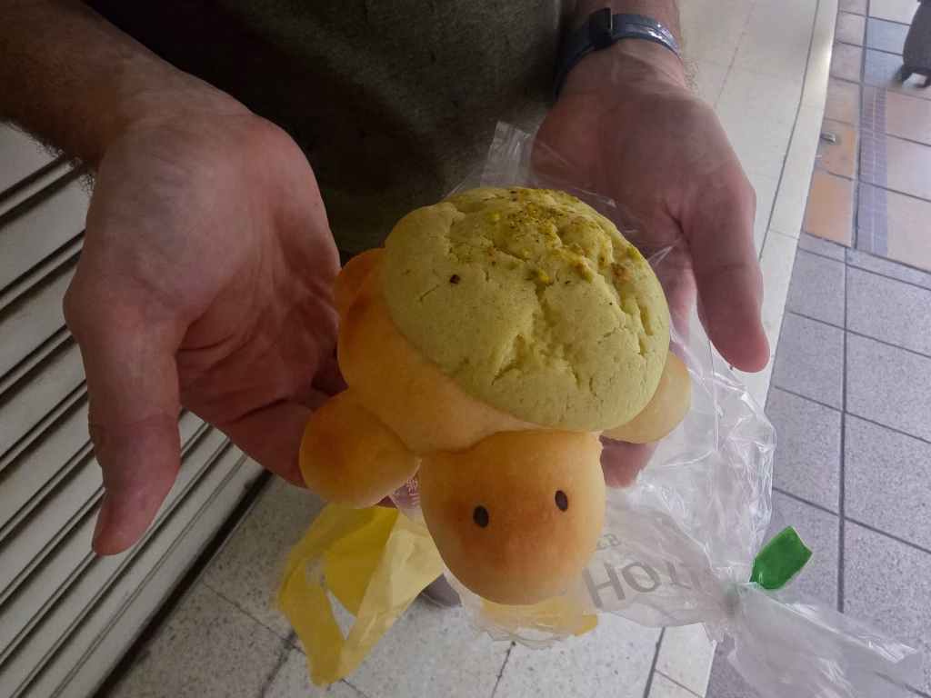 Fresh, turtle shaped pistachio melon pan sweet bread from a bakery in Hakone